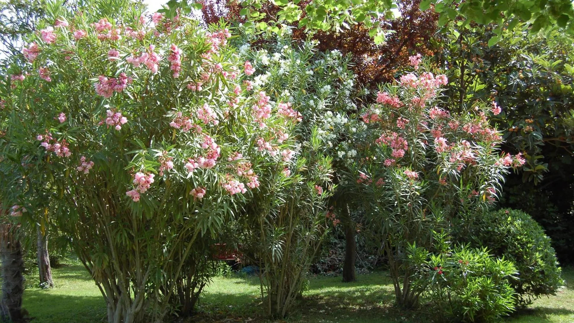 Le Mas Ferrand Graveson Bed & Breakfast