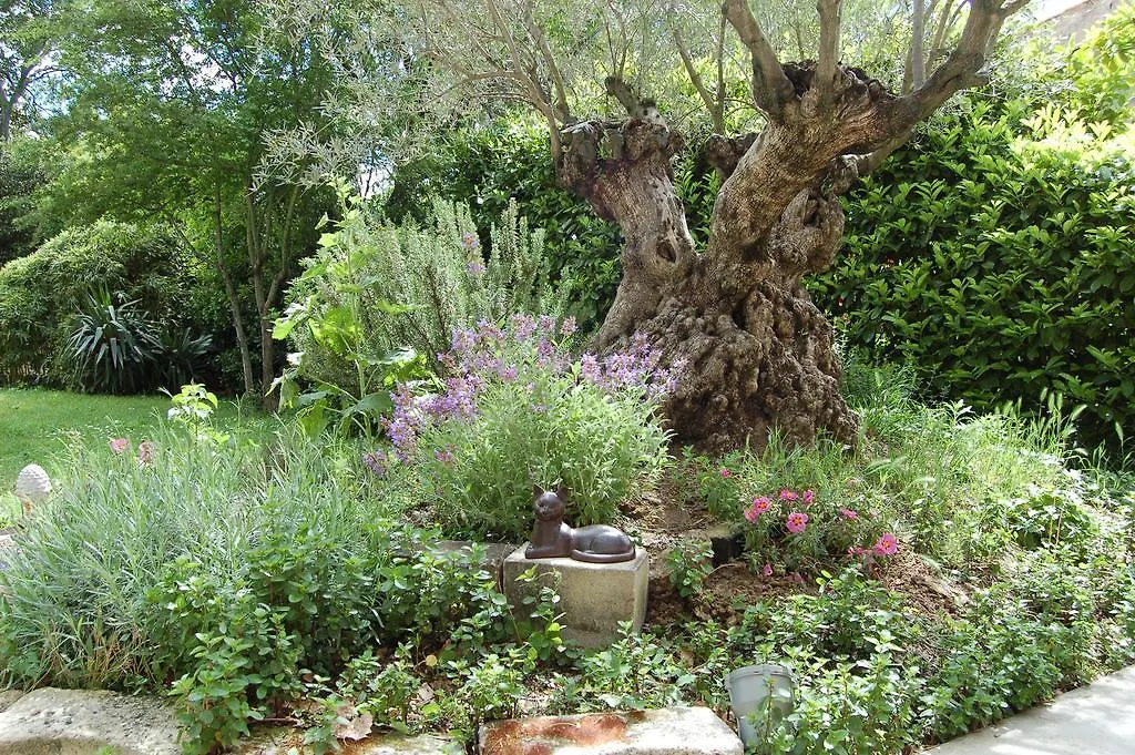Le Mas Ferrand Graveson Bed & Breakfast